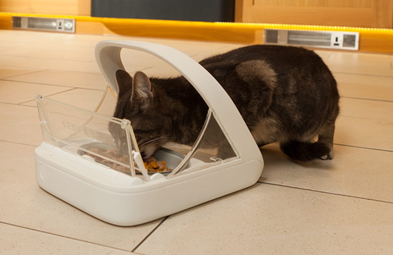 Microchip Huisdier Feeder Connect resealable microchip bowl view 6