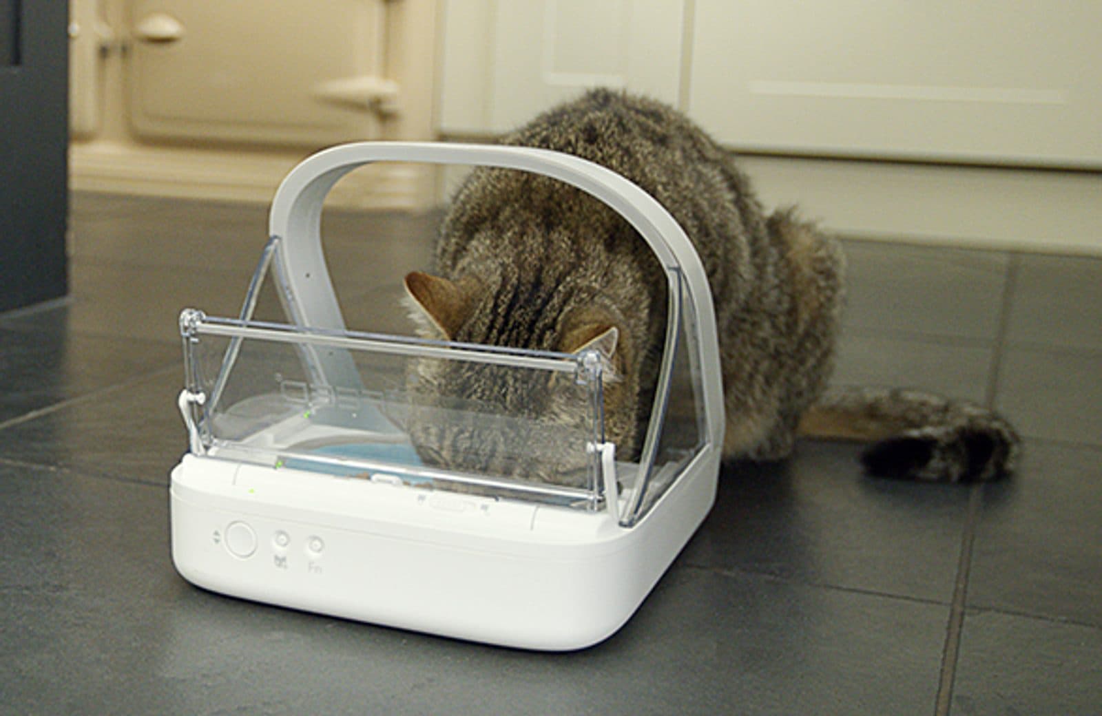 Microchip Huisdier Feeder Connect resealable microchip bowl view 7