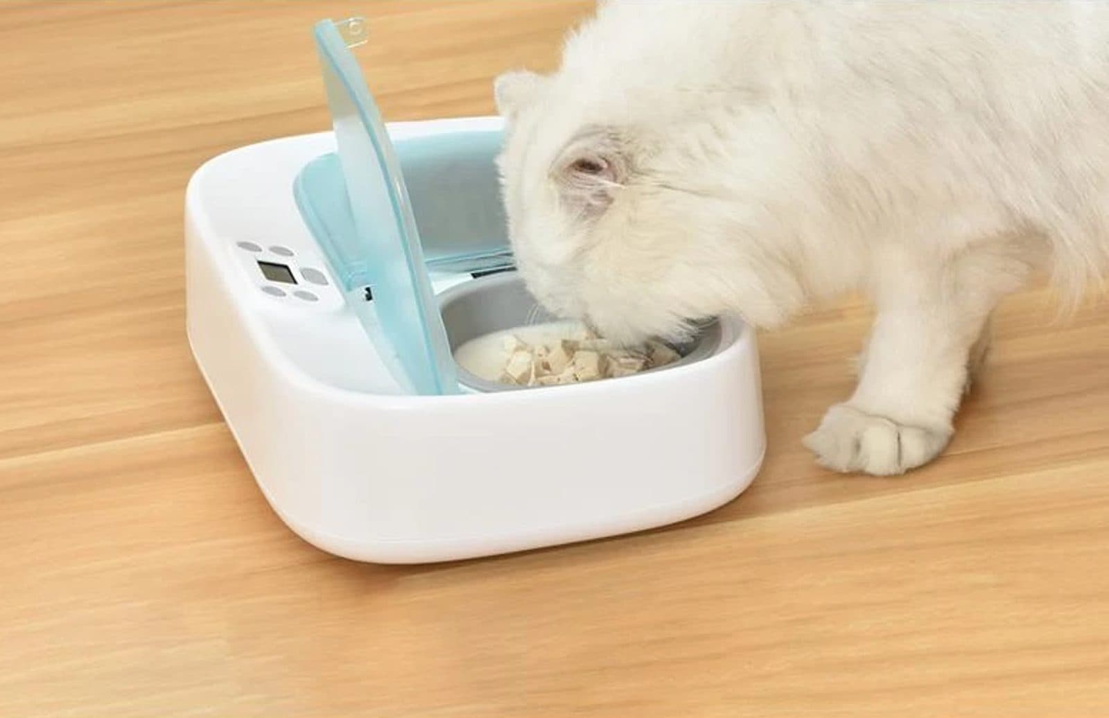 Automatische cooling bowl for two portions Petoneer view 3
