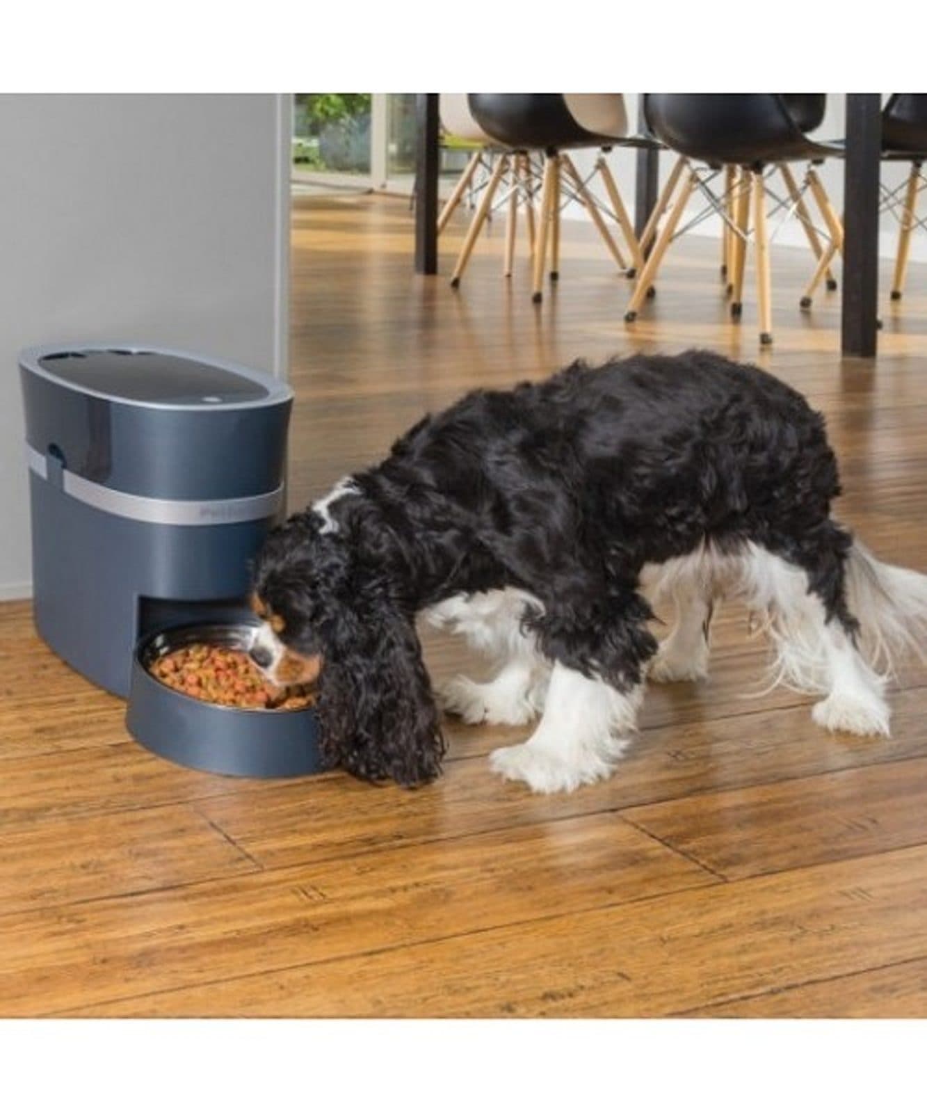 Automatische dispenser PetSafe® Smart Feed 2.0 view 3