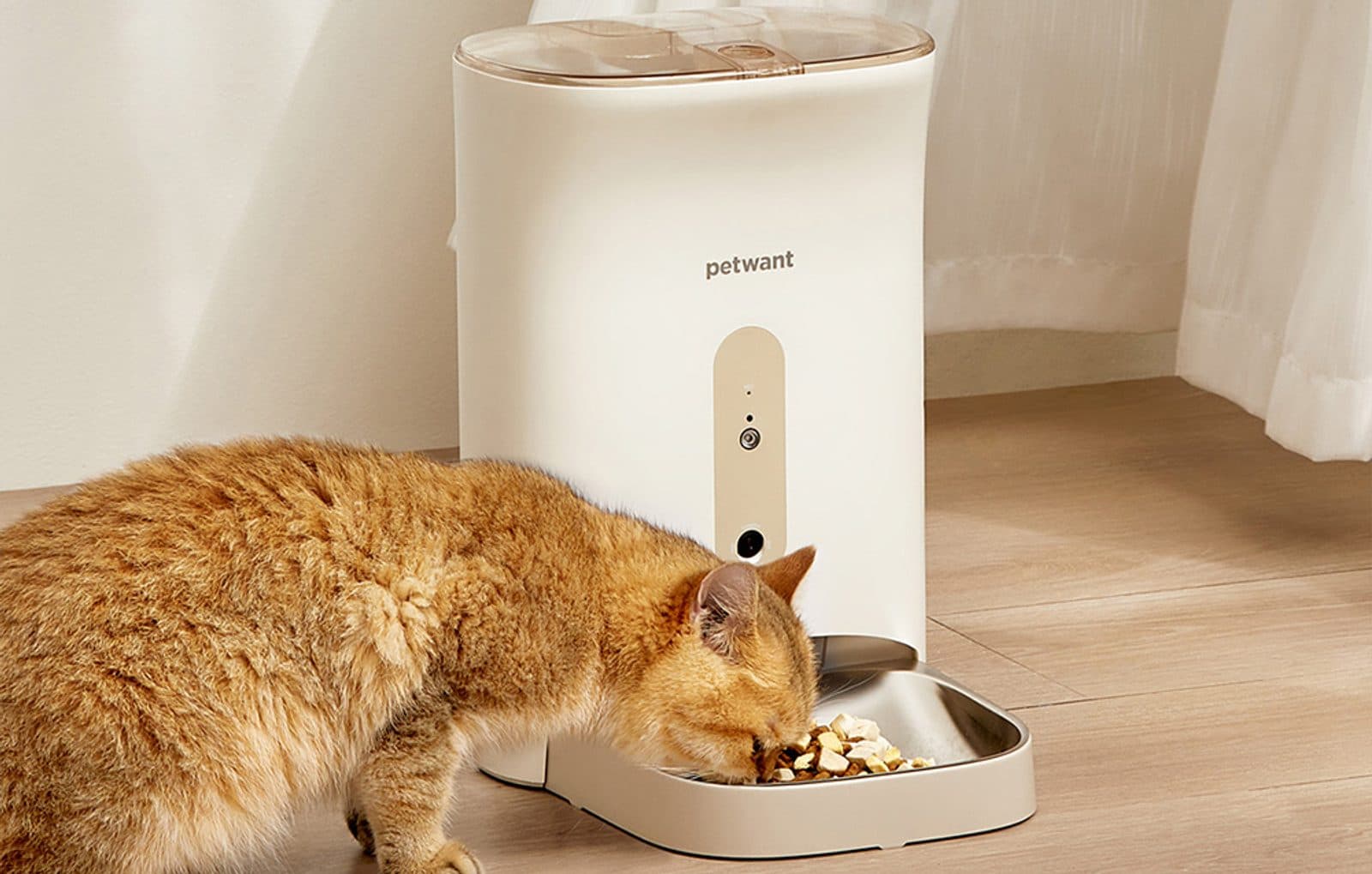 Petwant F11-C Smart feed dispenser met camera and microphone view 5
