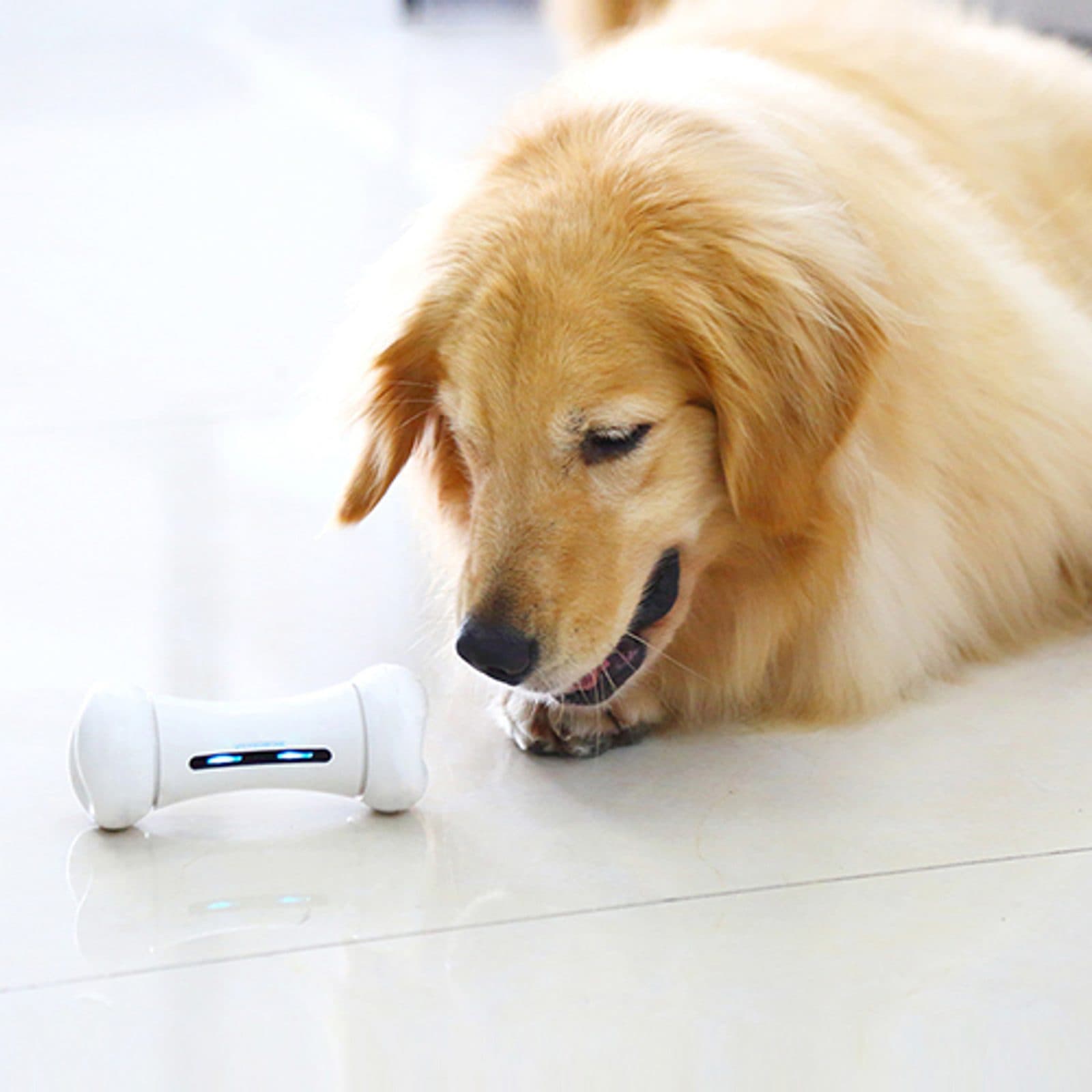 Wickedbone - interactieve kluif voor honden en katten view 7